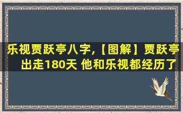 乐视贾跃亭八字,【图解】贾跃亭出走180天 他和乐视都经历了什么